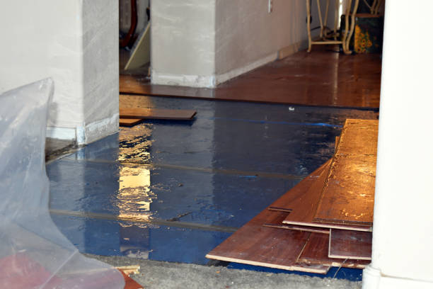 Professional Basement Flood Cleanup technician working in Otis Orchards, WA
